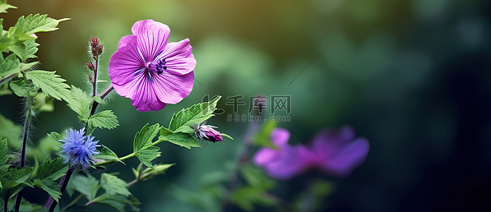高清左面壁纸背景图片_高清左面壁纸背景素材图片_千库网