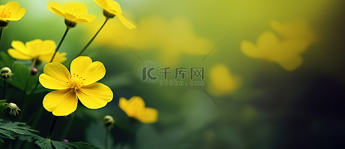 高清左面壁纸背景图片_高清左面壁纸背景素材图片_千库网