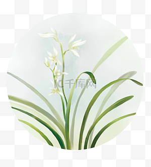 黑底白花壁纸图片-黑底白花壁纸图片素材免费下载-千库网