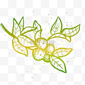 茶树图片-茶树图片素材免费下载-千库网
