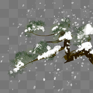 雪松图片-雪松图片素材免费下载-千库网